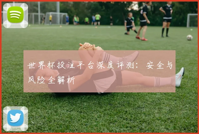 世界杯投注平台深度评测:安全与风险全解析
