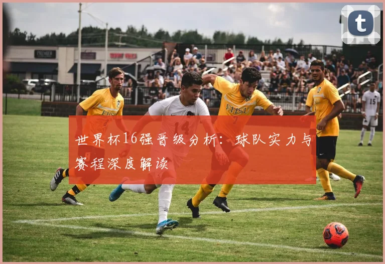 世界杯16强晋级分析：球队实力与赛程深度解读