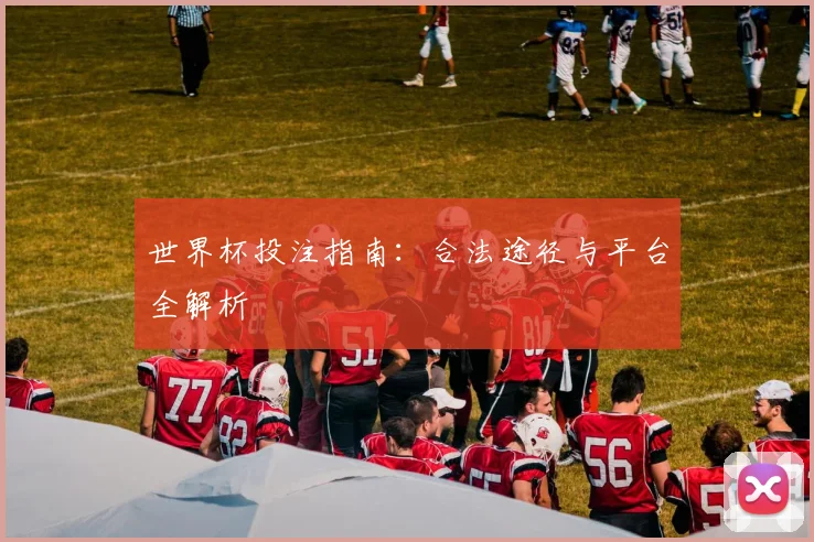 世界杯投注指南：合法途径与平台全解析