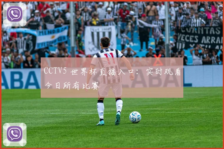 CCTV5 世界杯直播入口：实时观看今日所有比赛