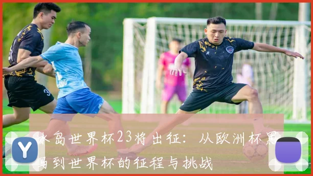 冰岛世界杯23将出征：从欧洲杯黑马到世界杯的征程与挑战