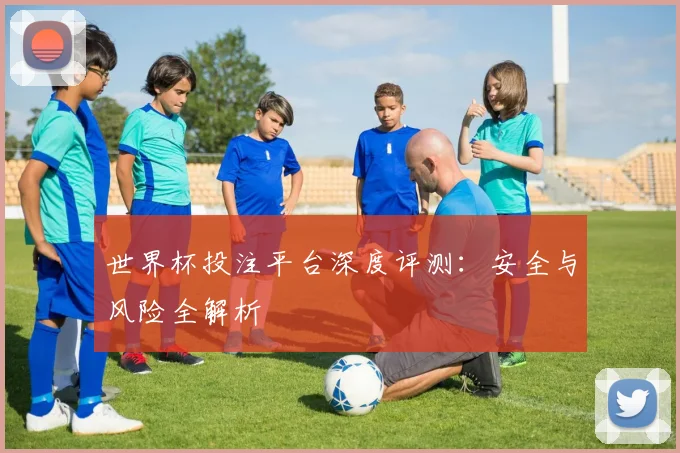 世界杯投注平台深度评测:安全与风险全解析