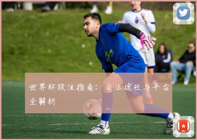 世界杯投注指南：合法途径与平台全解析