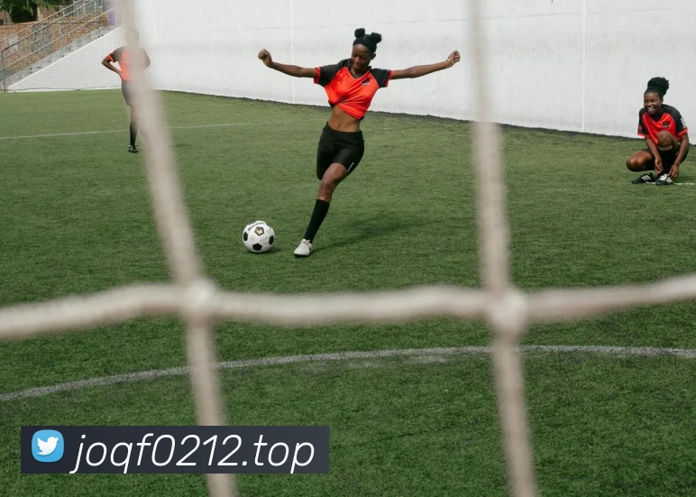 滚球买球的app服务体系